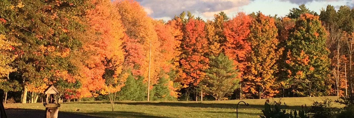 Fall_trees