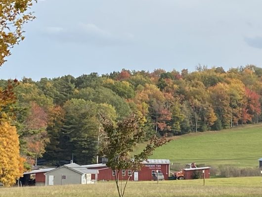 Jackson Township building in the Fall